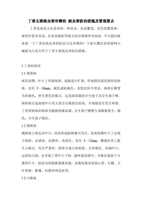 丁香主要病虫害有哪些 病虫害防治措施及管理要点