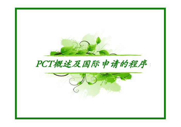 PCT申请流程