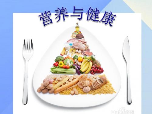 九年级科学下册 4.4 营养与健康课件 (新版)华东师大版