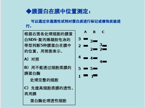 细胞生物学课后题汇总