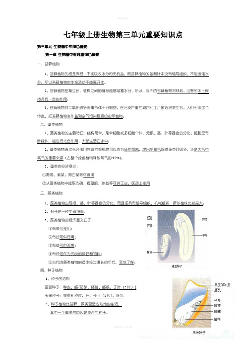 七年级上册生物第三单元重要知识点