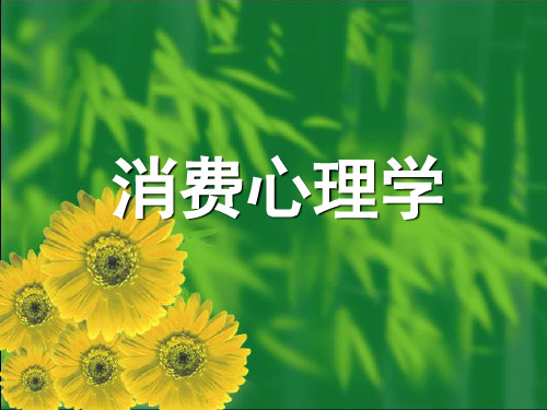 消费心理学全套推荐