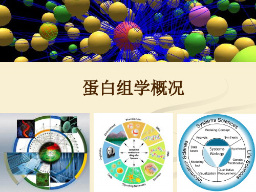 蛋白组学概论