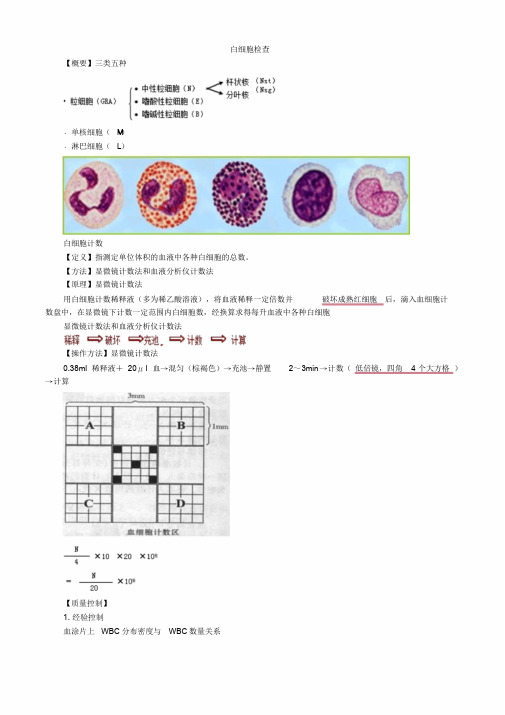 检验基础之白细胞检查