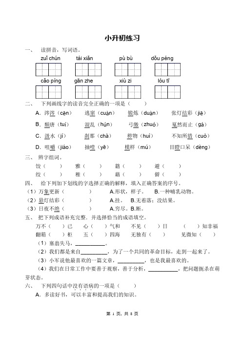 六年级语文小升初精品模拟试卷(含解析)