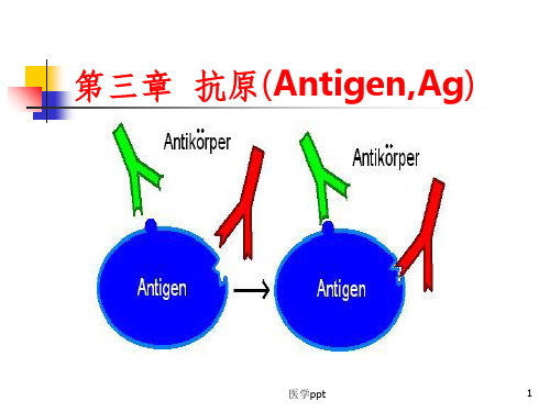 高美华《医学免疫学》第三章 抗原