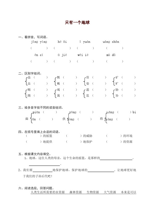 部编人教版六年级上册语文同步练习-13只有一个地球(有答案)【精编】【精品】.doc