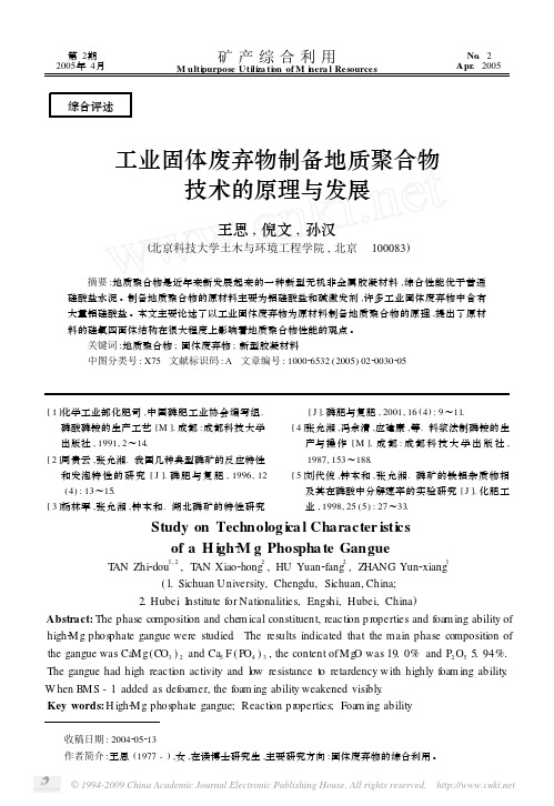 工业固体废弃物制备地质聚合物技术的原理与发展 2005