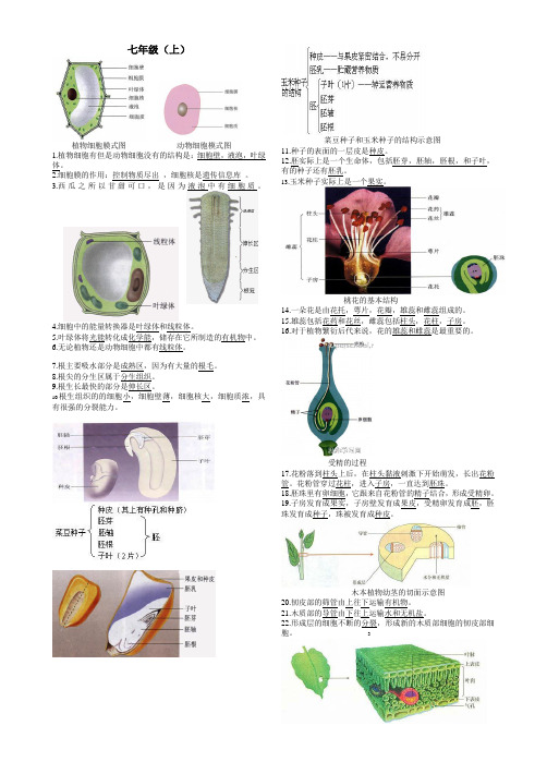 生物中考复习资料：初中生物图集(附题目)