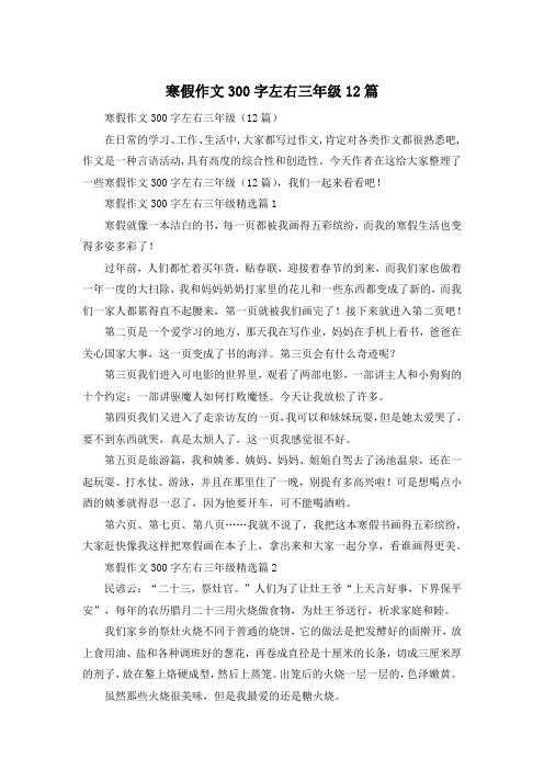 寒假作文300字左右三年级12篇