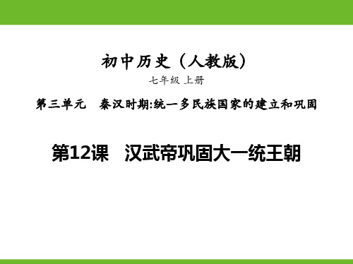 人教版七年级历史上册  汉武帝巩固大一统王朝 (2)