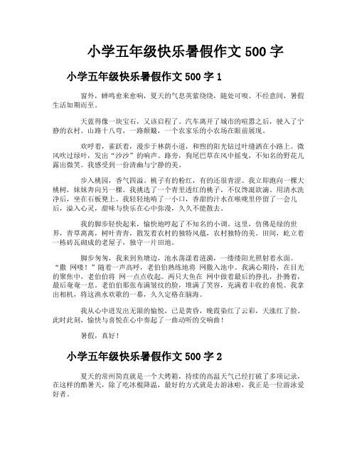 小学五年级快乐暑假作文500字