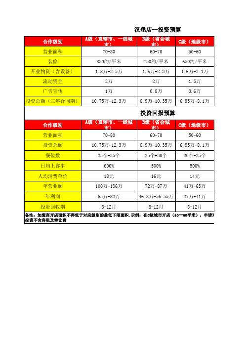 投资预算分析模板