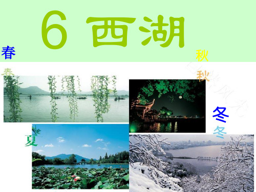 苏教版三年级上册语文《6西湖》(有各类组词、近义词反义词、《补充习题》《练习与测试》答案)