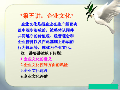 企业内部控制配套指引二十讲