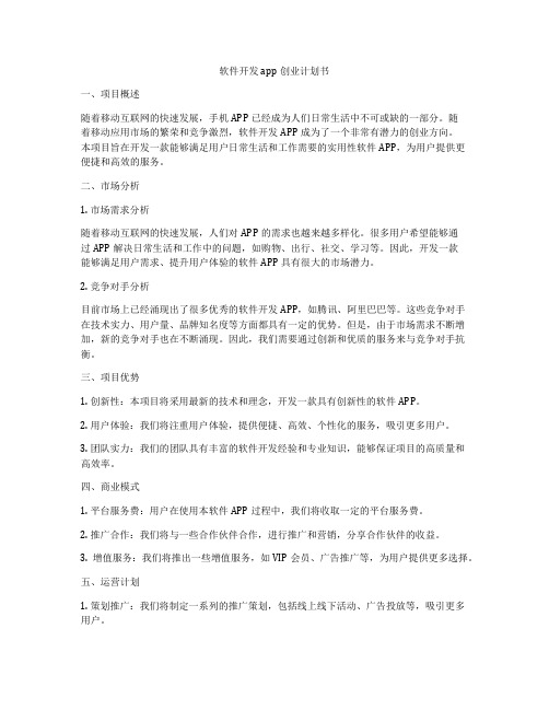 软件开发app创业计划书