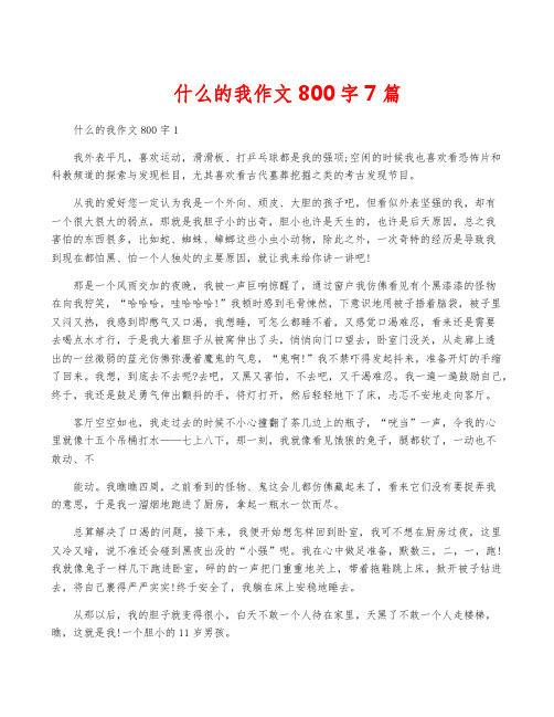 什么的我作文800字7篇