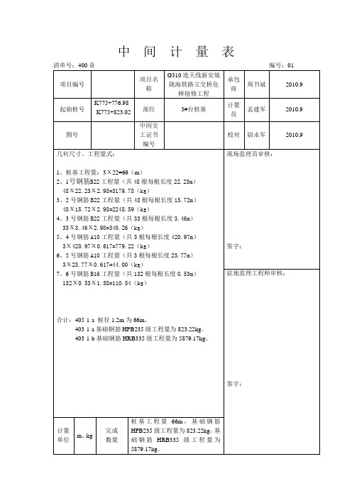 中间计量表1