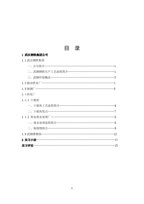 武钢认识实习报告_2