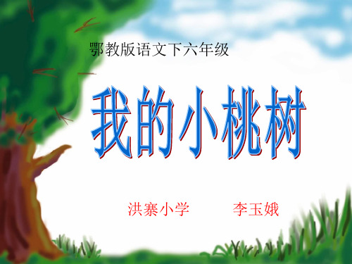 鄂教版_六年级下册_我的小桃树_课件