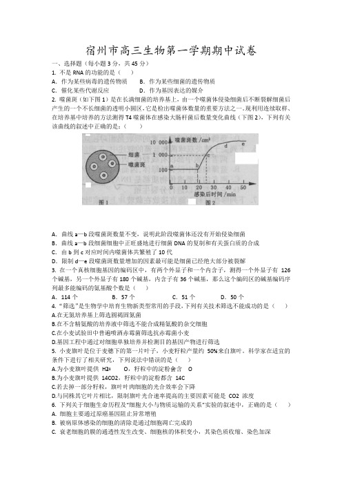 宿州市高三生物第一学期期中试卷11