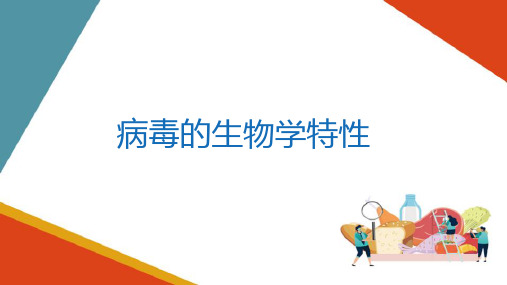 非细胞型微生物—病毒(食品微生物控制技术课件)