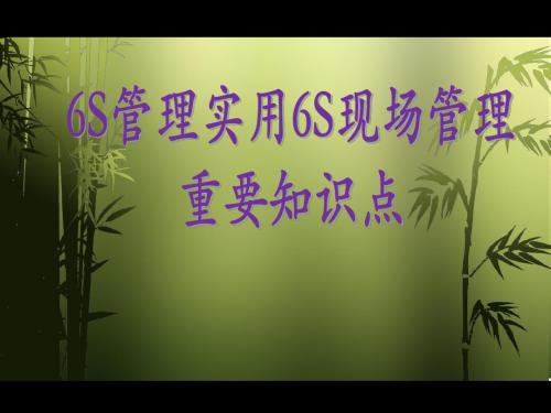 6S管理培训教材(非常不错)