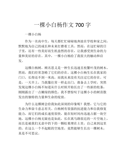 一棵小白杨作文700字