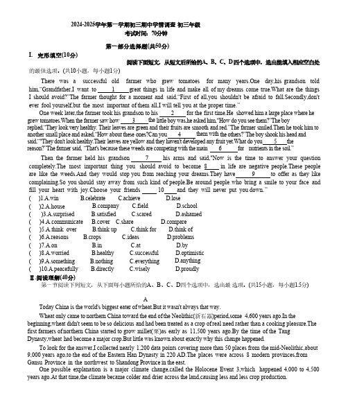 广东省深圳市宝安中学2024-2025学年九年级上学期期中测试英语试卷(含答案)