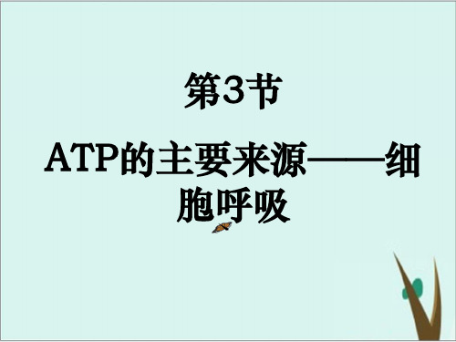 人教版高中生物必修一第5章第3节 ATP的主要来源——细胞呼吸 课件完美版