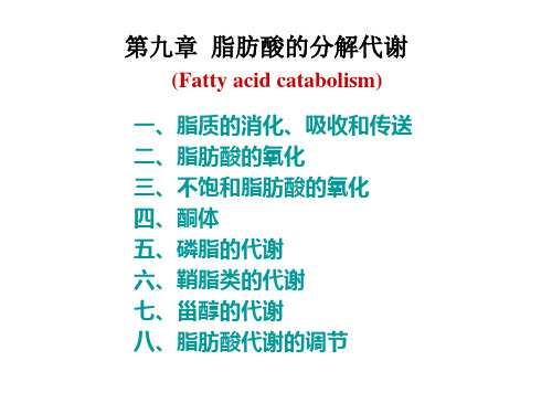 生物化学考研 第九章 脂肪酸的分解代谢