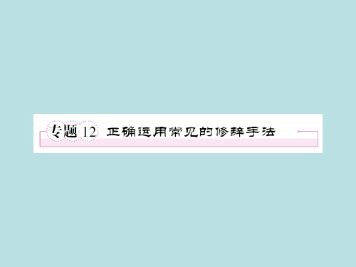 2012年高考语文全程总复习一轮精品课件：正确运用常见的修辞手法(12)