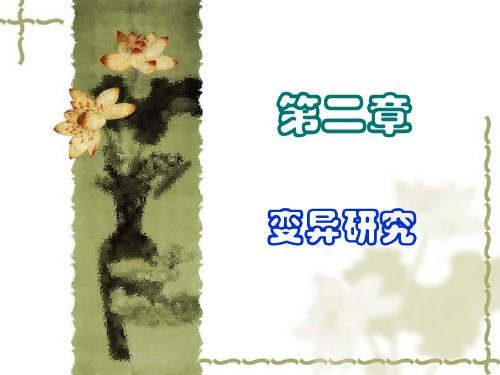 比较文学课件(译介学2.2)