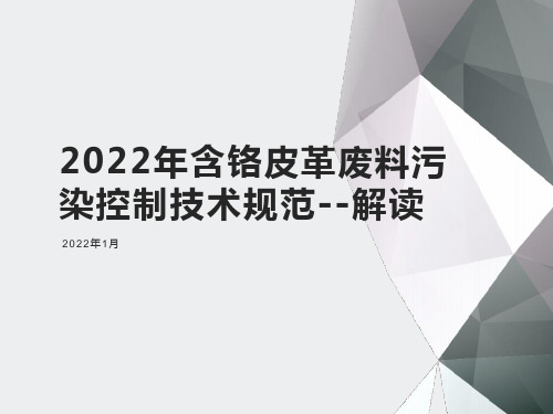 含铬皮革废料污染控制技术规范2022年