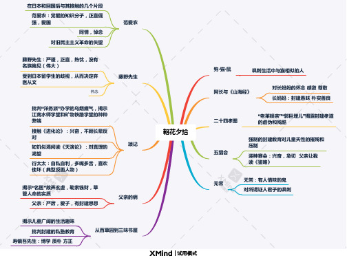 朝花夕拾思维导图