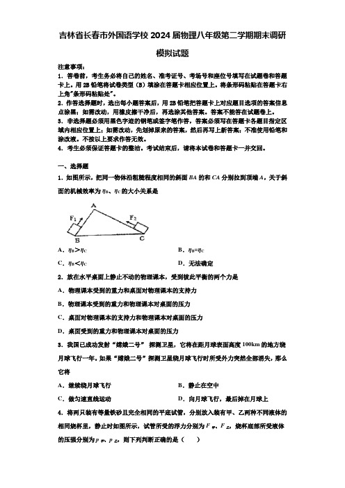 吉林省长春市外国语学校2024届物理八年级第二学期期末调研模拟试题含解析