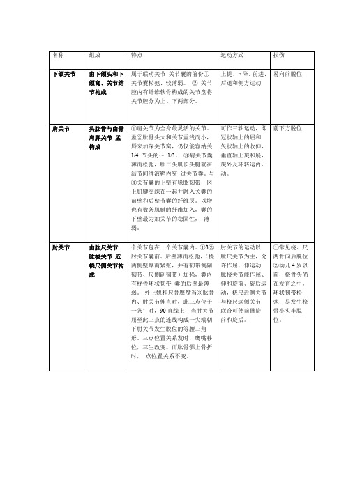 人体七大关节