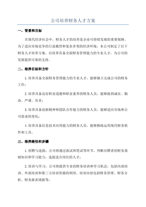 公司培养财务人才方案