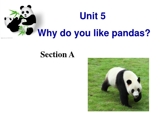 人教版新目标英语新教材七年级下册unit5_why_do_you_like_pandas_课件