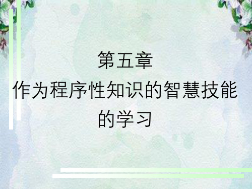 作为程序性知识智慧技能学习