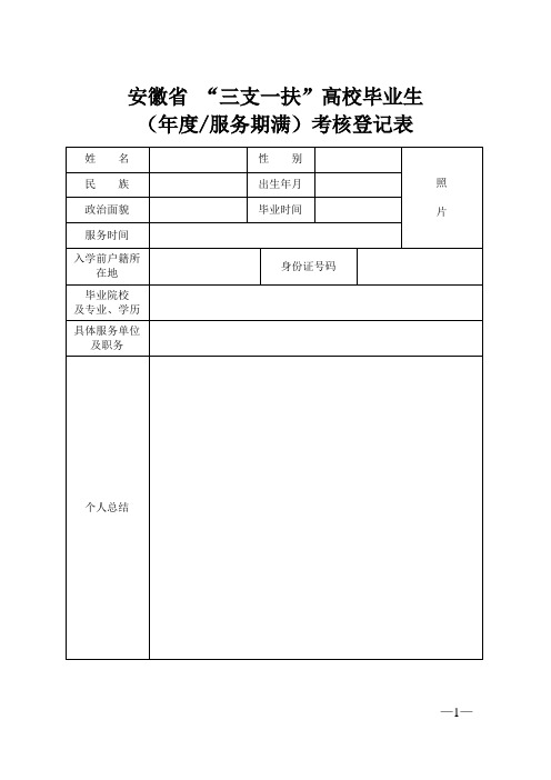 三支一扶考核表