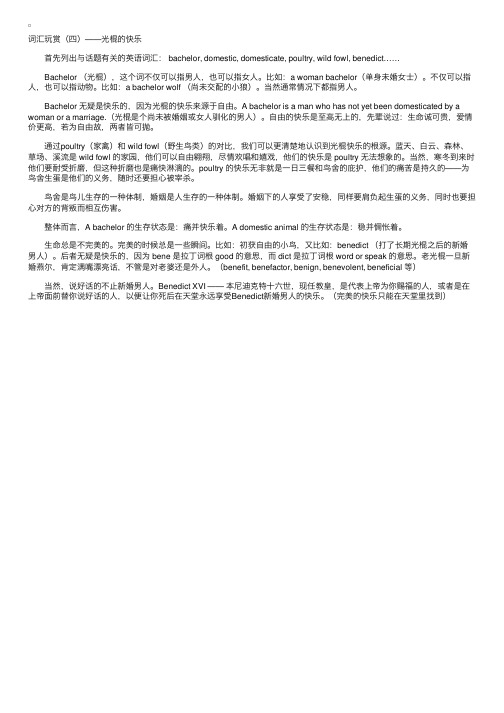 光棍的快乐——精选推荐