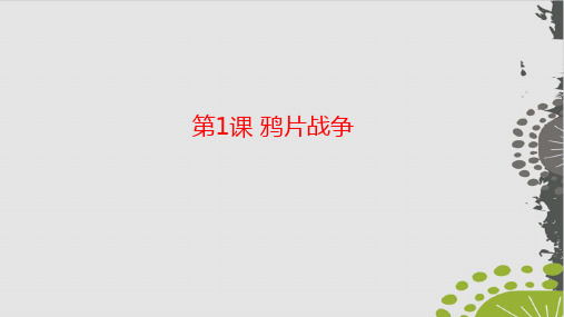 岳麓版《鸦片战争》PPT-上课用1