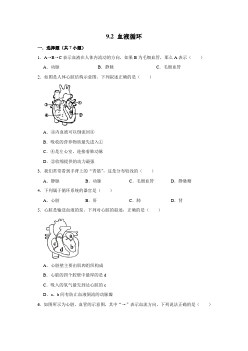 北师大版生物七年级下册血液循环