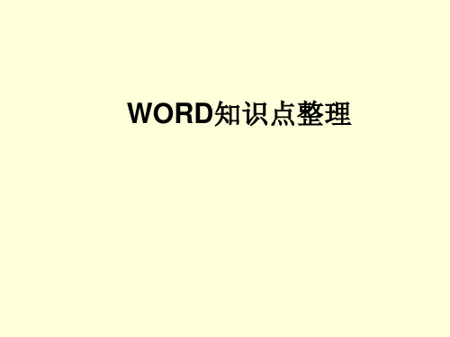 WORD知识点整理