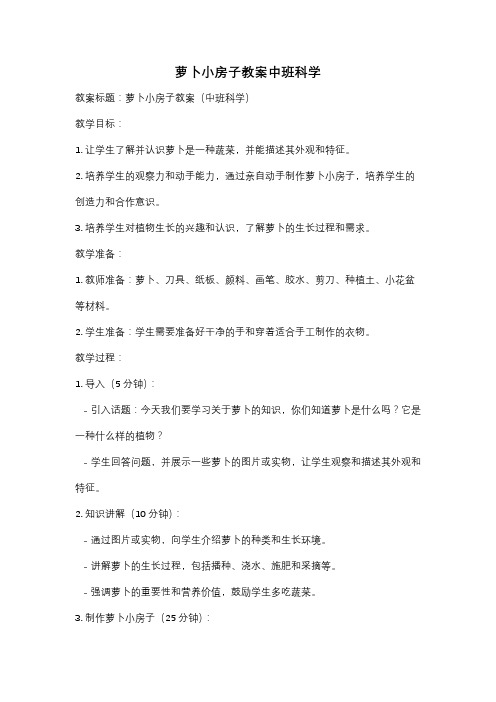 萝卜小房子教案中班科学