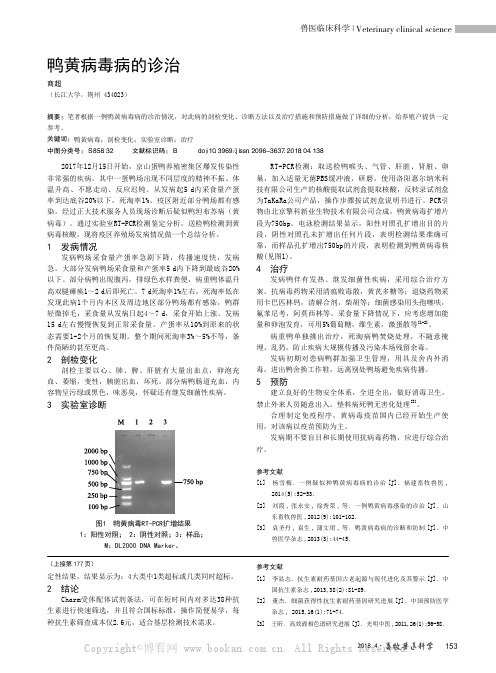 鸭黄病毒病的诊治