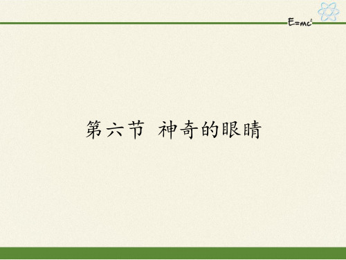 八年级全一册 物理 课件 4.6神奇的眼睛