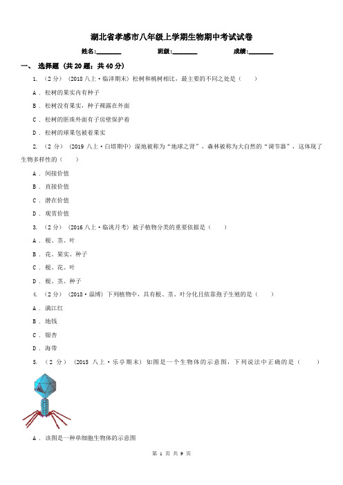 湖北省孝感市八年级上学期生物期中考试试卷