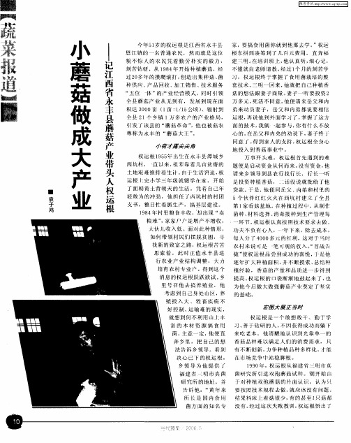 小蘑菇做成大产业——记江西省永丰县蘑菇产业带头人权运根